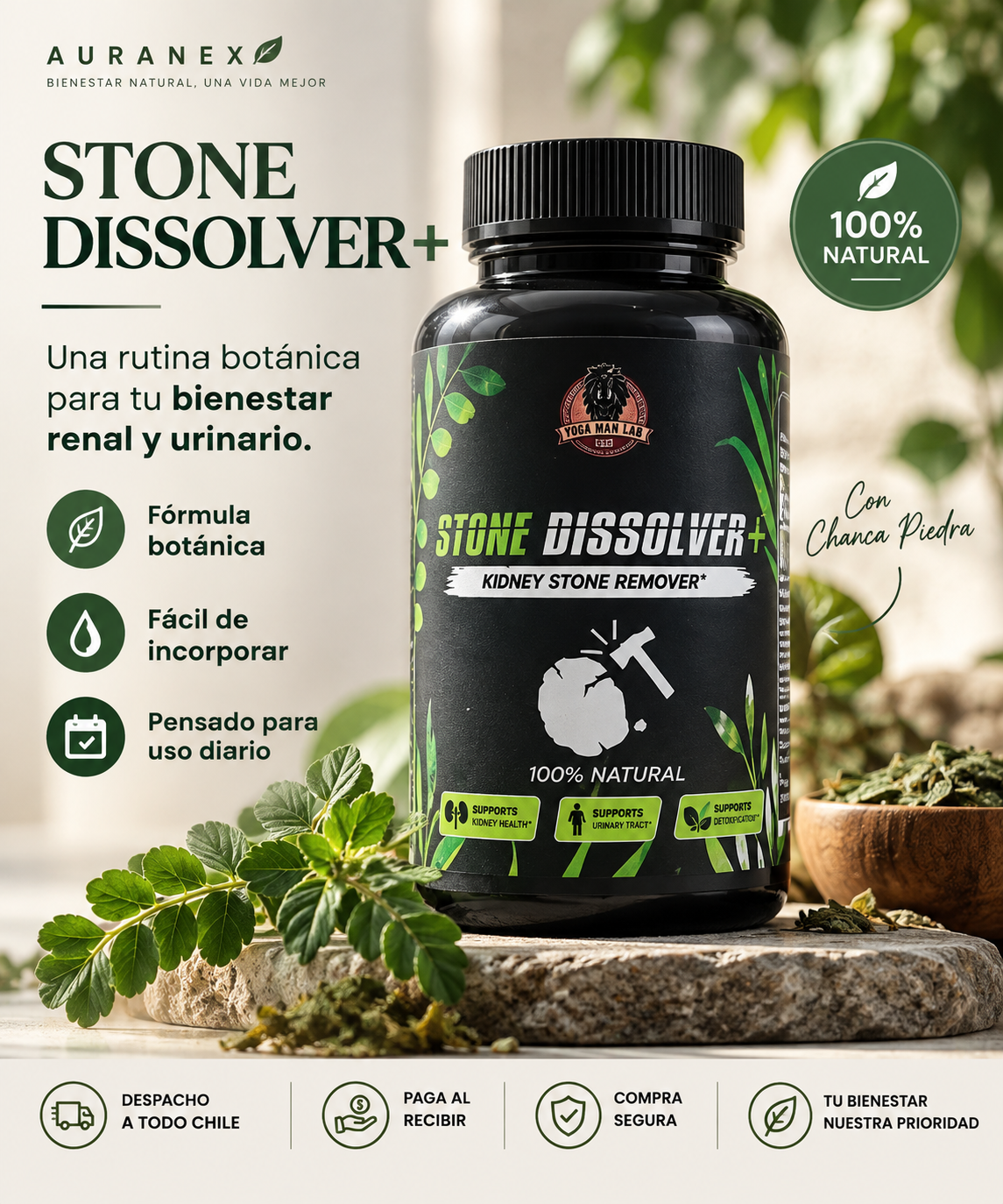 Stone Dissolver +